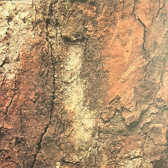 Scrapbook Paper! Wood Textures & Backgrounds! 12x12” - Picture 13 of 17